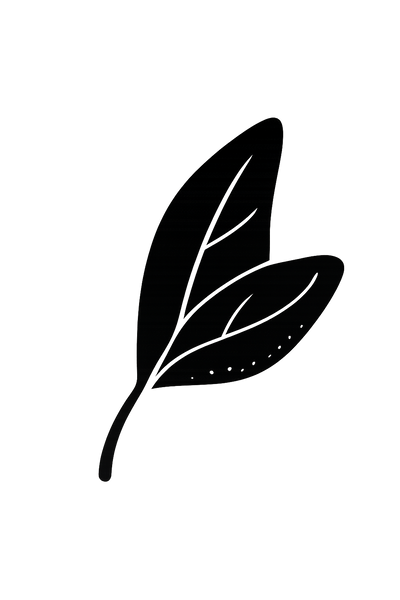 Natural Fabrics Only